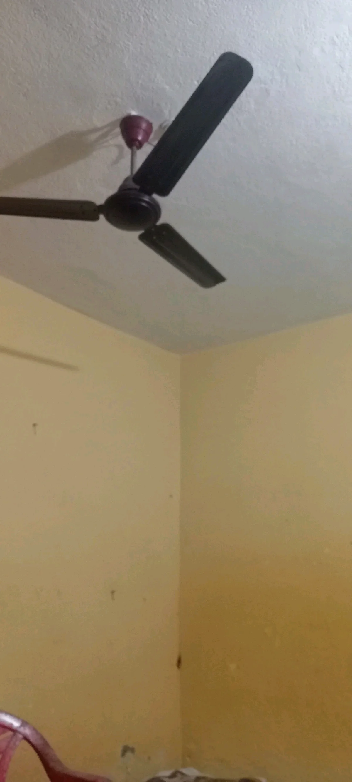 Room for Boys in Lalpur, Ranchi - thumbnail 2