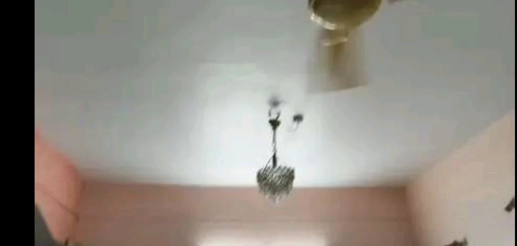 Fully Furnished 3BHK Apartment for Family in Ahirtoli, Ranchi