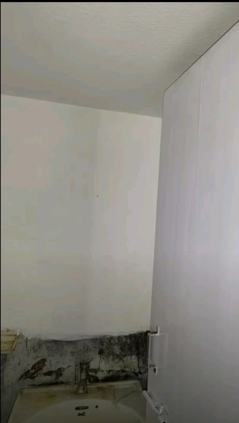 Single Room for Girls near Energy Park in Rajbansi Nagar, Patna - thumbnail 2