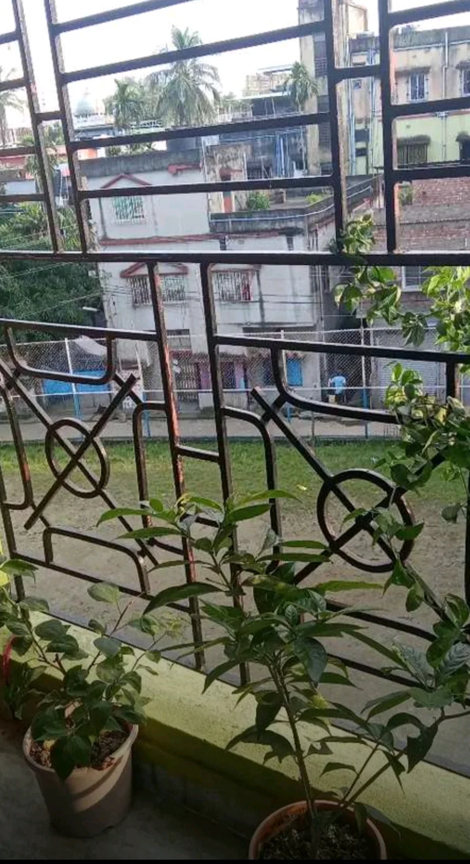 2BHK for Rent Near Airport Gate 1, Dum Dum - thumbnail 4