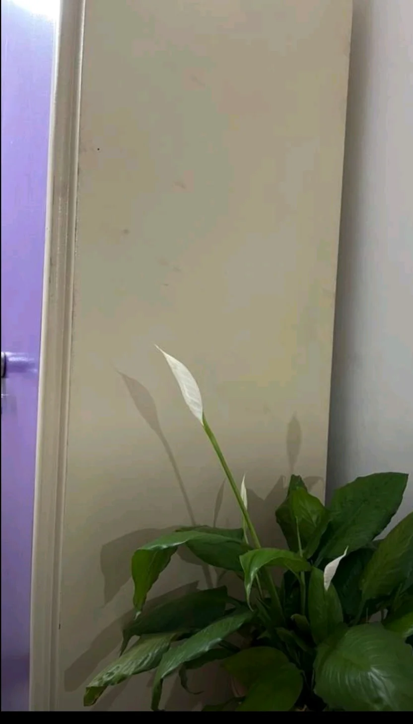 Spacious 2BHK Apartment in Gandharpur, Bhubaneswar