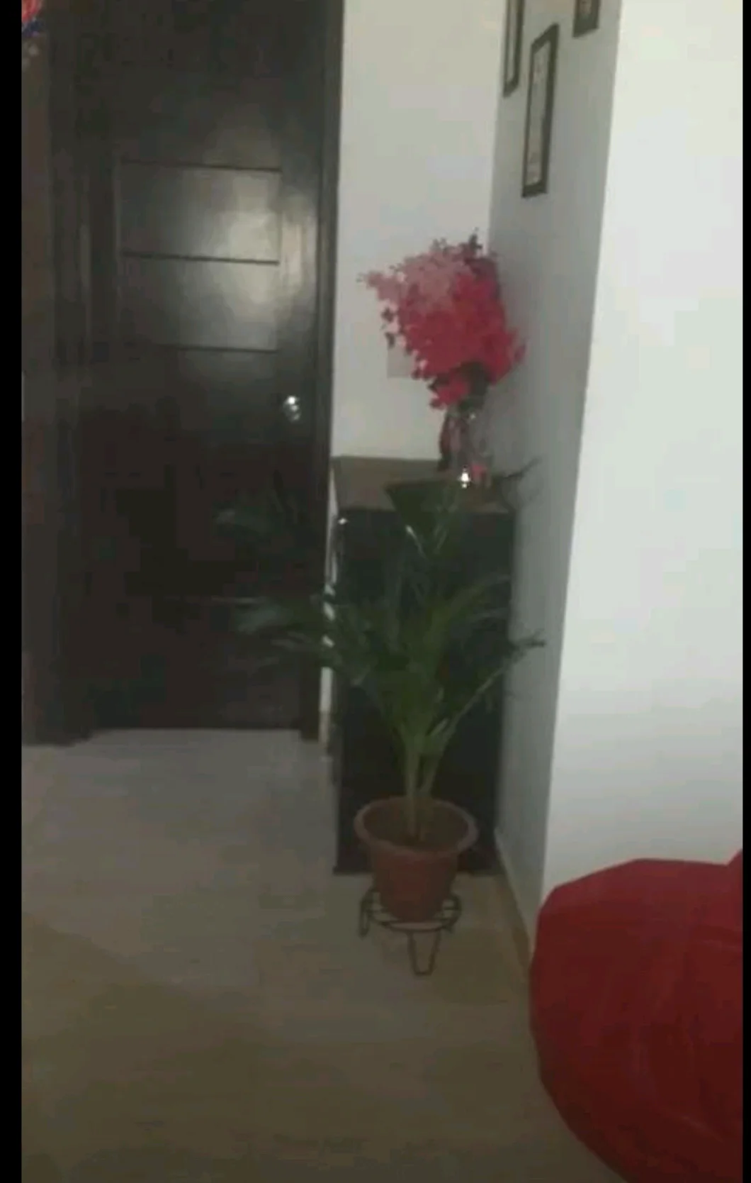 Spacious 3BHK for Rent in Sector 88, Faridabad - thumbnail 4