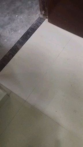 Unfurnished 2BHK Flat in Dwarakapuri, Ranchi - thumbnail 3