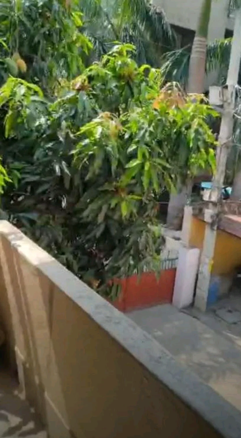 2BHK Flat for Rent in Anandpuri - thumbnail 3
